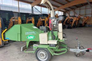 Holzhäcksler PEZZOLATO PZ110